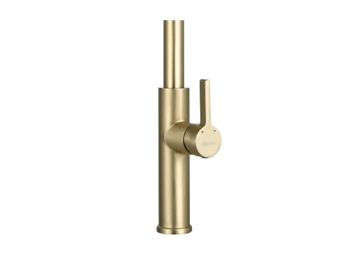 Смеситель ARONA ARM 207 GOLD PVD