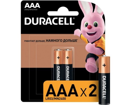 Батарея Duracell Basic CN LR03-2BL AAA (2шт)