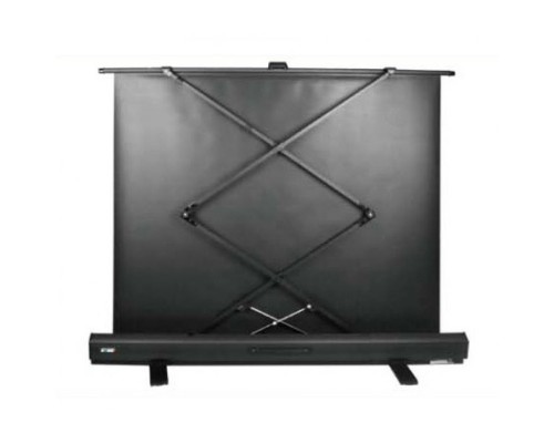 Экран Cactus 120x160см FloorExpert CS-PSFLE-160X120 43 напольный рулонный