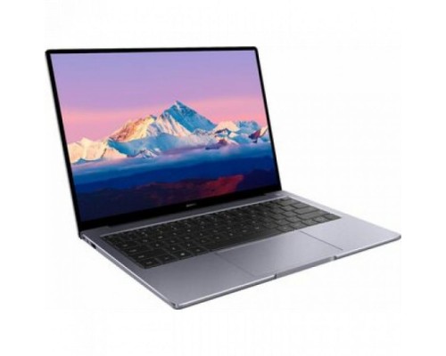 Ноутбук Huawei MateBook B5-430 53013FCQ (14 