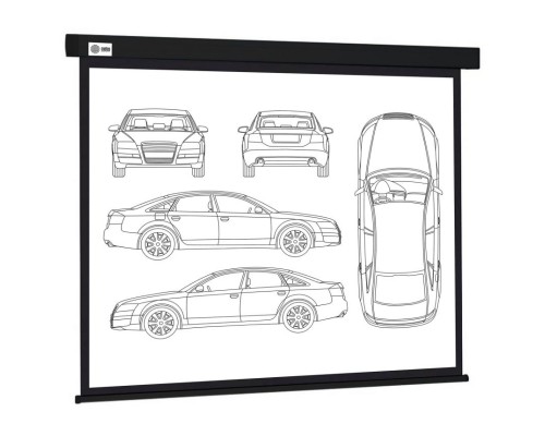 Экран Cactus 213x213см Wallscreen CS-PSW-213X213-BK 11 настенно-потолочный рулонный черный