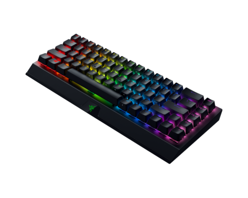 Игровая клавиатура Razer BlackWidow V3 Mini HyperSpeed (Green Switch) - Russian Layout Razer BlackWidow V3 Mini (RZ03-03891600-R3R1)