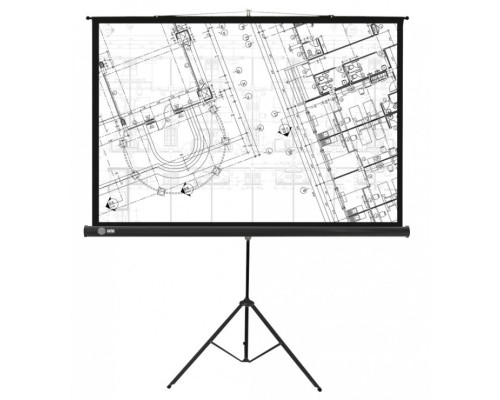 Экран Cactus 127x127см Triscreen CS-PST-127X127 1:1 напольный рулонный черный