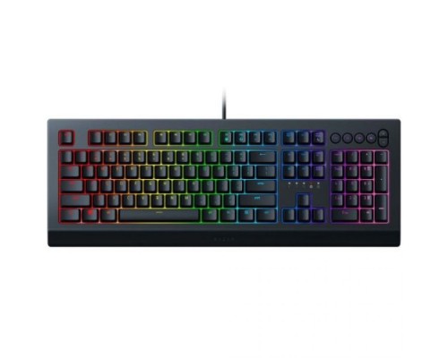 Клавиатура Razer Cynosa V2 RZ03-03400700-R3R1